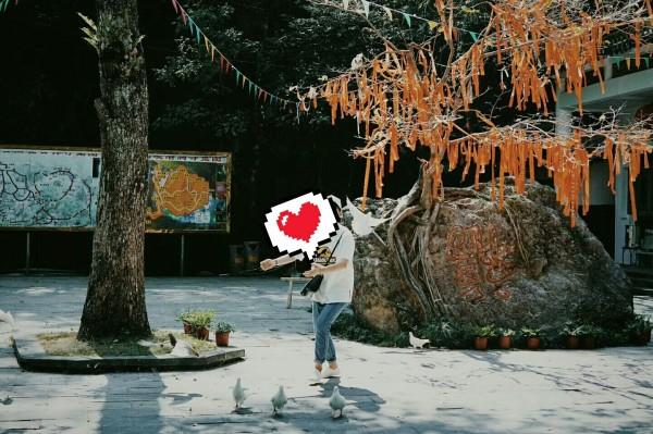 少年泰坦大出击